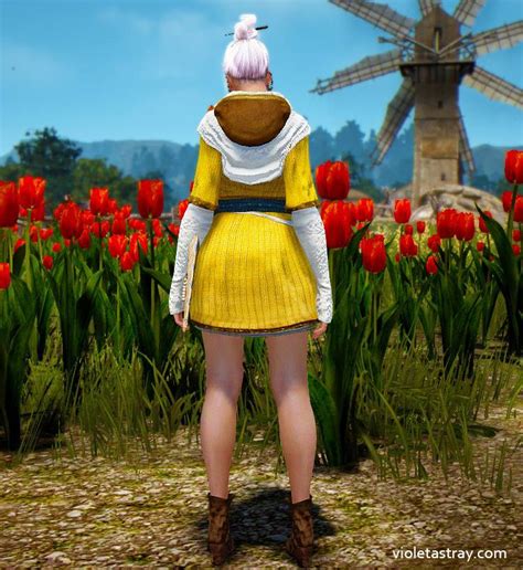 bdo outfits|BDO Craftable Costumes (Free Outfits from Level 1 Mills).
